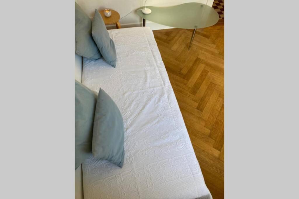 Parking & Appartement 2 Pieces Sans Traffic Lausanne Eksteriør billede